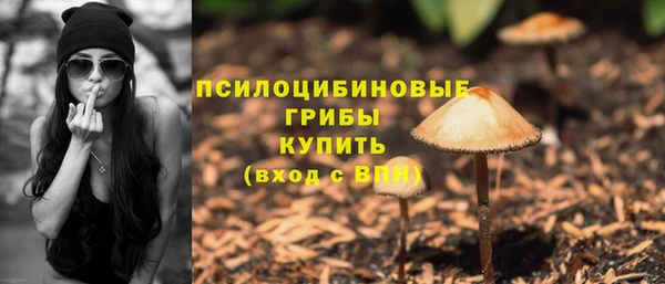 гидра Нефтекумск