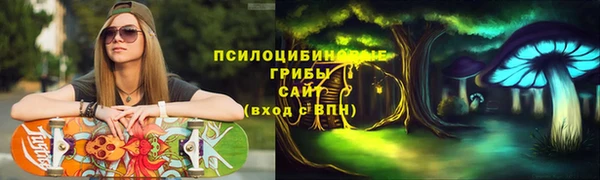 гидра Нефтекумск