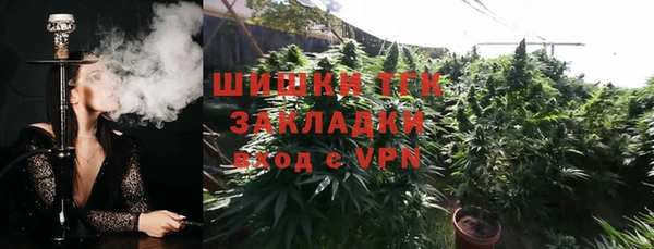 твердый Нефтегорск