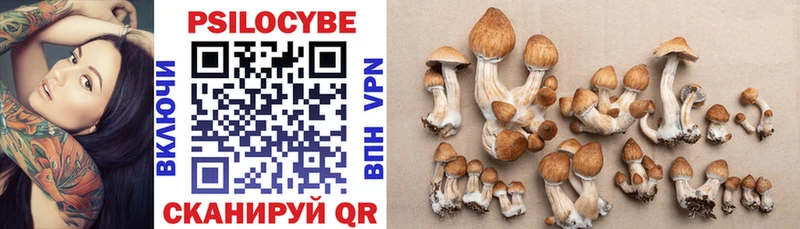 Галлюциногенные грибы Psilocybine cubensis  Купить закладки  Ишим 