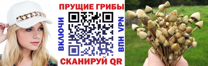Псилоцибиновые грибы ЛСД Ишим